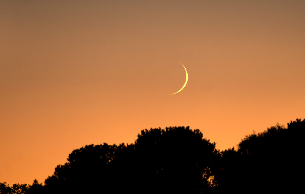Crescent Moon 