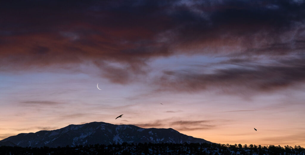 Taos Mountain and crows